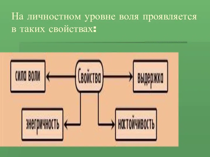 На личностном уровне воля проявляется в таких свойствах: