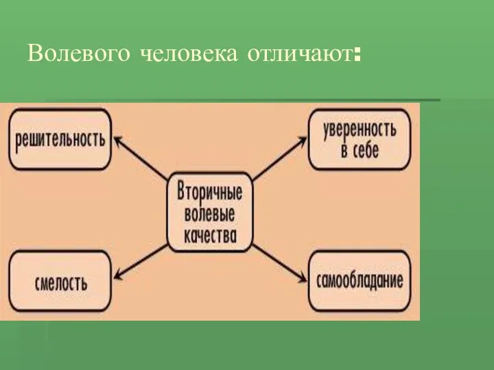 Волевого человека отличают: