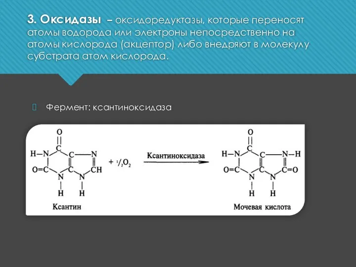 Фермент: ксантиноксидаза 3. Оксидазы – оксидоредуктазы, которые переносят атомы водорода или электроны