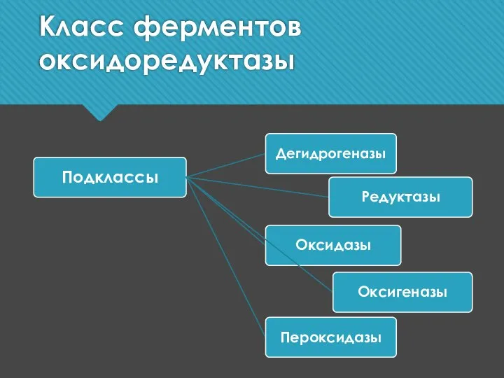 Класс ферментов оксидоредуктазы