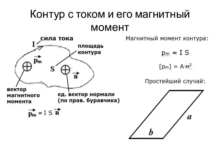 Контур с током и его магнитный момент