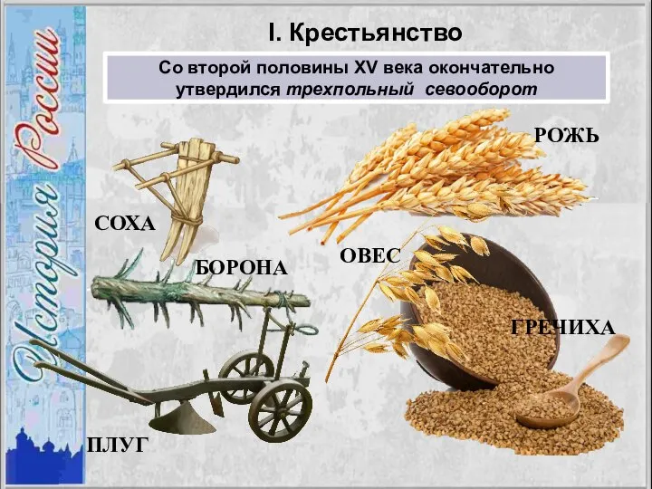 I. Крестьянство Со второй половины XV века окончательно утвердился трехпольный севооборот СОХА