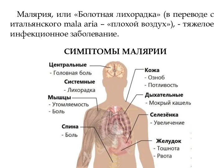 Малярия, или «Болотная лихорадка» (в переводе с итальянского mala aria – «плохой