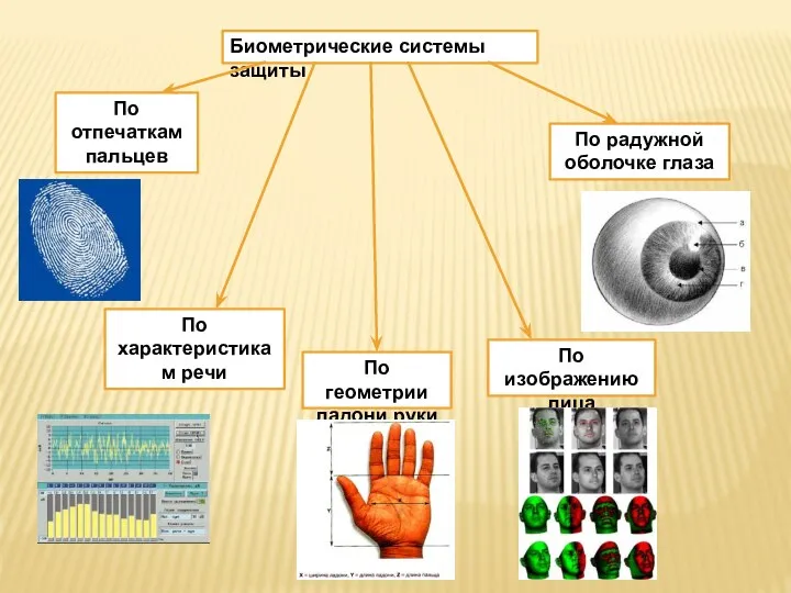 Биометрические системы защиты По отпечаткам пальцев По характеристикам речи По геометрии ладони