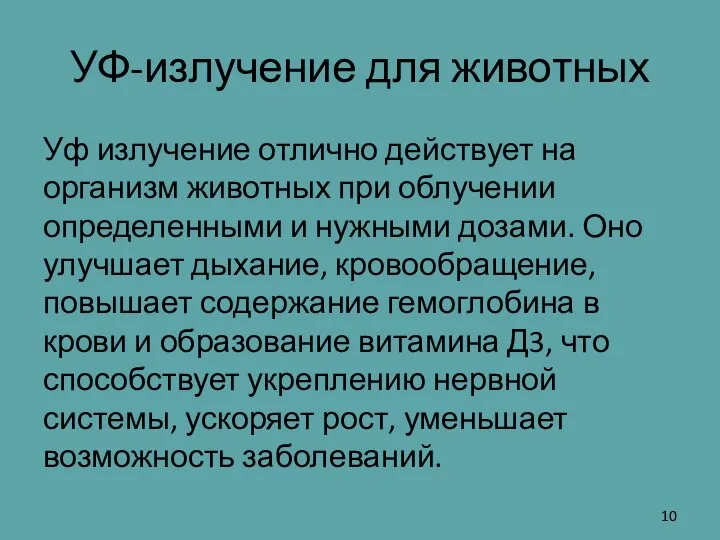 УФ-излучение для животных Уф излучение отлично действует на организм животных при облучении