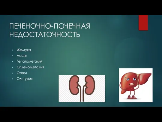 ПЕЧЕНОЧНО-ПОЧЕЧНАЯ НЕДОСТАТОЧНОСТЬ Желтуха Асцит Гепатомегалия Спленомегалия Отеки Олигурия