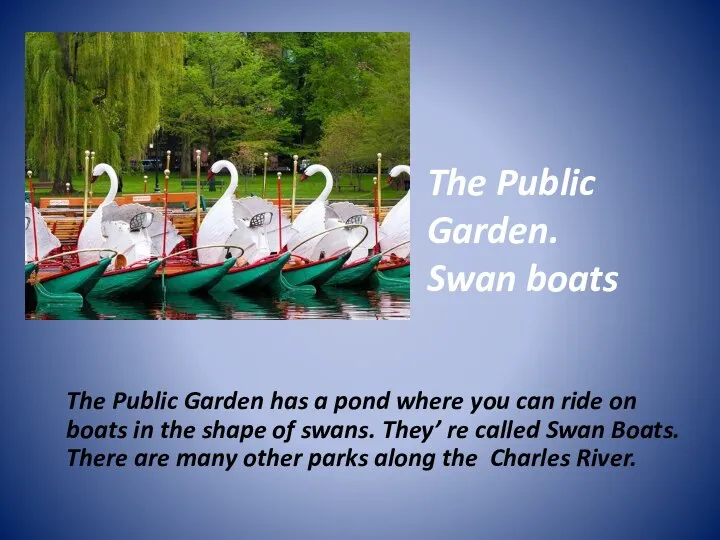The Public Garden. Swan boats The Public Garden has a pond where