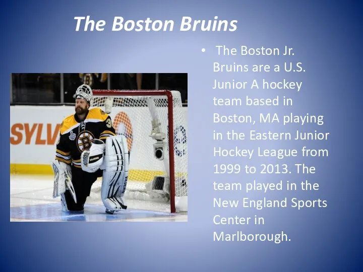 The Boston Bruins The Boston Jr. Bruins are a U.S. Junior A