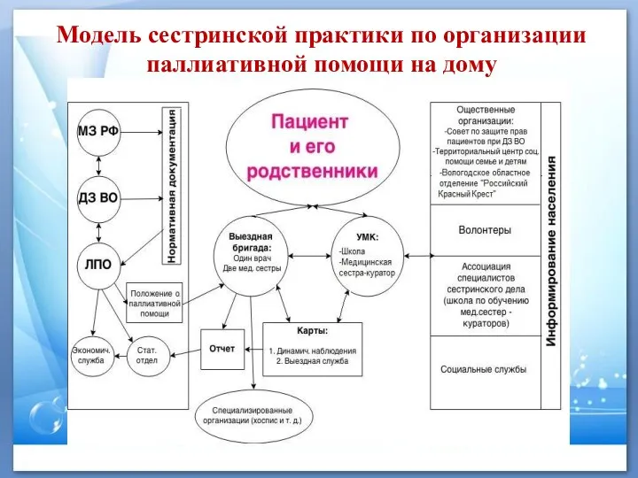 Модель сестринской практики по организации паллиативной помощи на дому