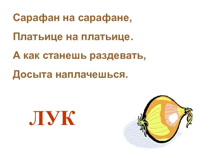 Сарафан на сарафане, Платьице на платьице. А как станешь раздевать, Досыта наплачешься. ЛУК