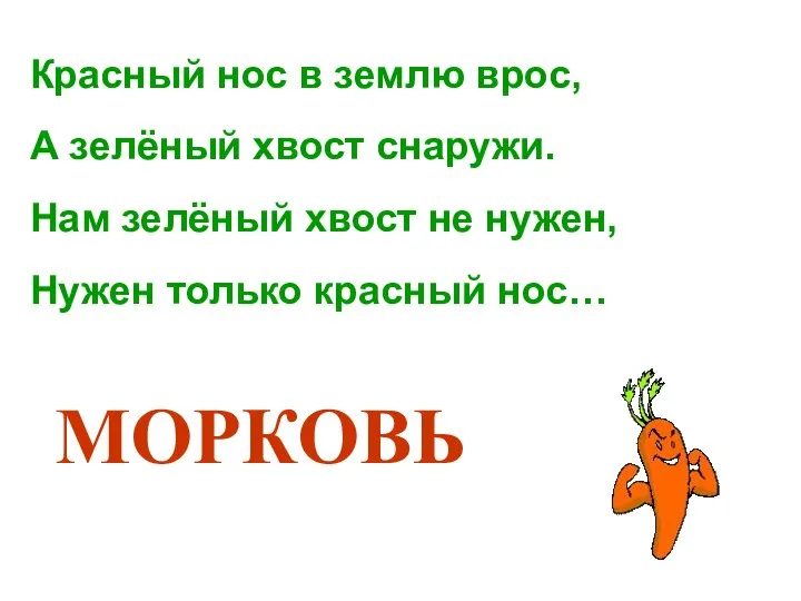 Красный нос в землю врос, А зелёный хвост снаружи. Нам зелёный хвост