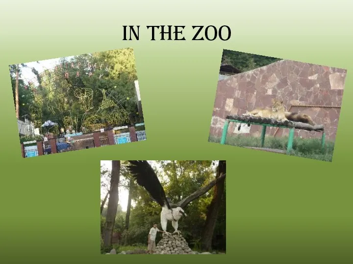 In the zoo