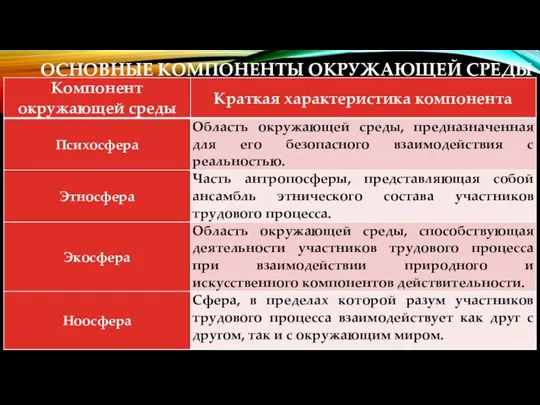 ОСНОВНЫЕ КОМПОНЕНТЫ ОКРУЖАЮЩЕЙ СРЕДЫ