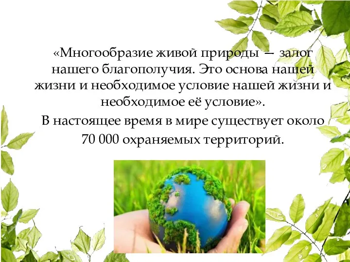 «Многообразие живой природы — залог нашего благополучия. Это основа нашей жизни и