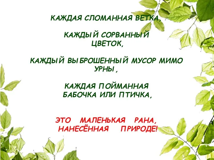 КАЖДАЯ СЛОМАННАЯ ВЕТКА, КАЖДЫЙ СОРВАННЫЙ ЦВЕТОК, КАЖДЫЙ ВЫБРОШЕННЫЙ МУСОР МИМО УРНЫ, КАЖДАЯ