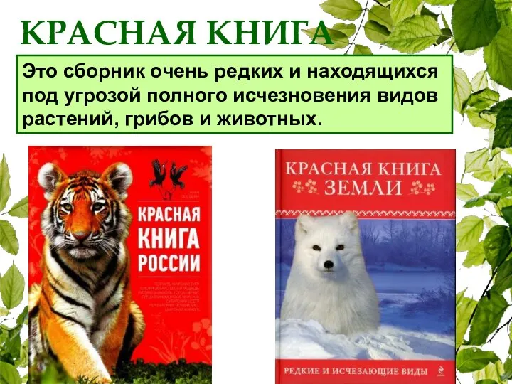 КРАСНАЯ КНИГА Это сборник очень редких и находящихся под угрозой полного исчезновения