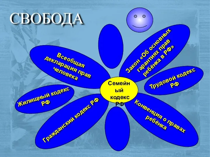 СВОБОДА Семейный кодекс РФ Всеобщая декларация прав человека Конвенция о правах ребёнка