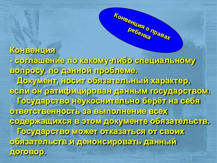 Конвенция - соглашение по какому-либо специальному вопросу, по данной проблеме. Документ, носит