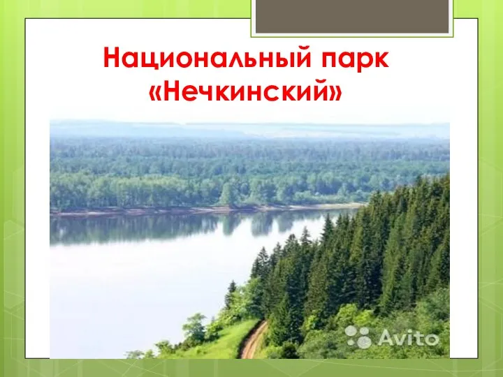 Национальный парк «Нечкинский»