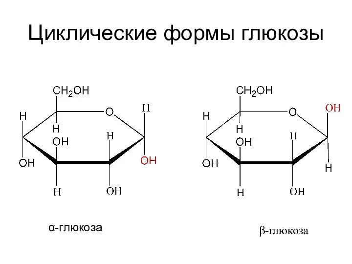 Циклические формы глюкозы α-глюкоза β-глюкоза