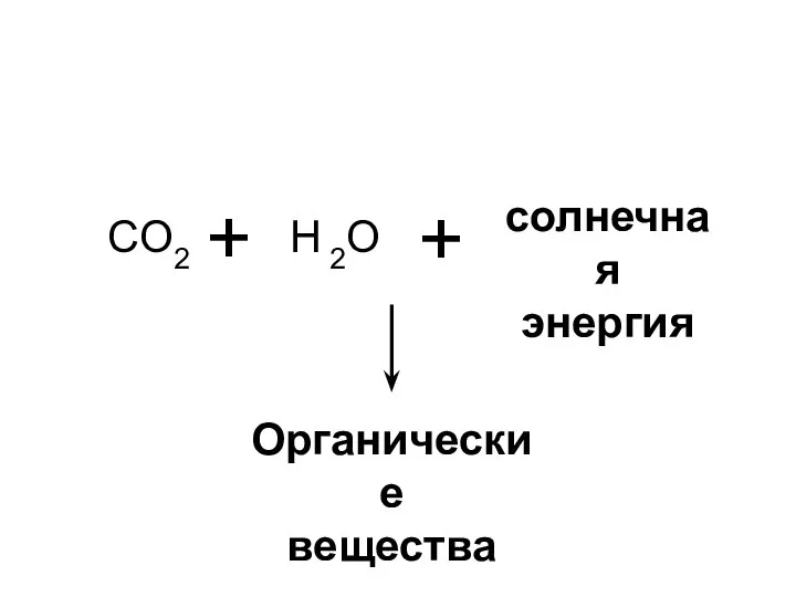 СO2 H 2O солнечная энергия + + Органические вещества