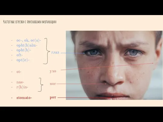 Частотные отрезки с признаками мотивации oc-, ok, oc(u)- opht(h)alm- opht(h)- oft- opt(ic)-