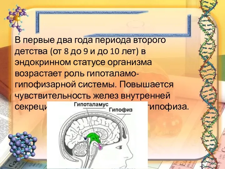 В первые два года периода второго детства (от 8 до 9 и