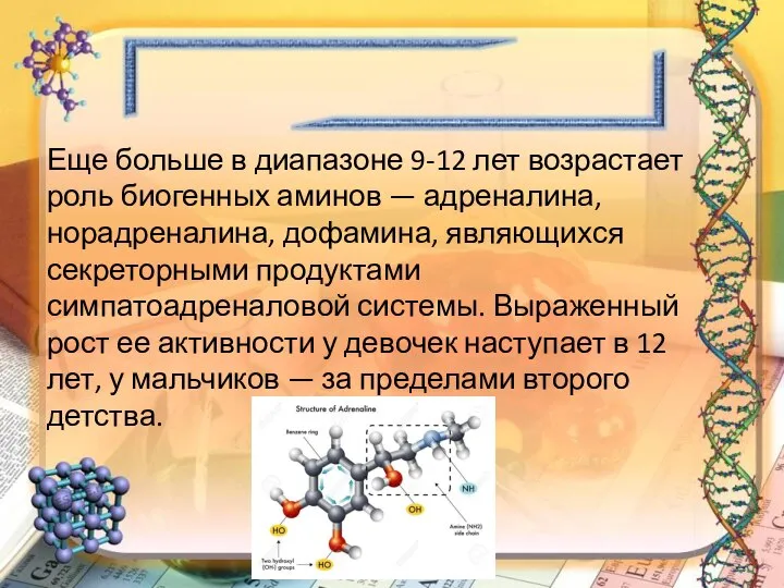 Еще больше в диапазоне 9-12 лет возрастает роль биогенных аминов — ад­реналина,