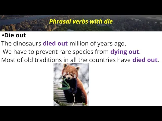Phrasal verbs with die Die out The dinosaurs died out million of