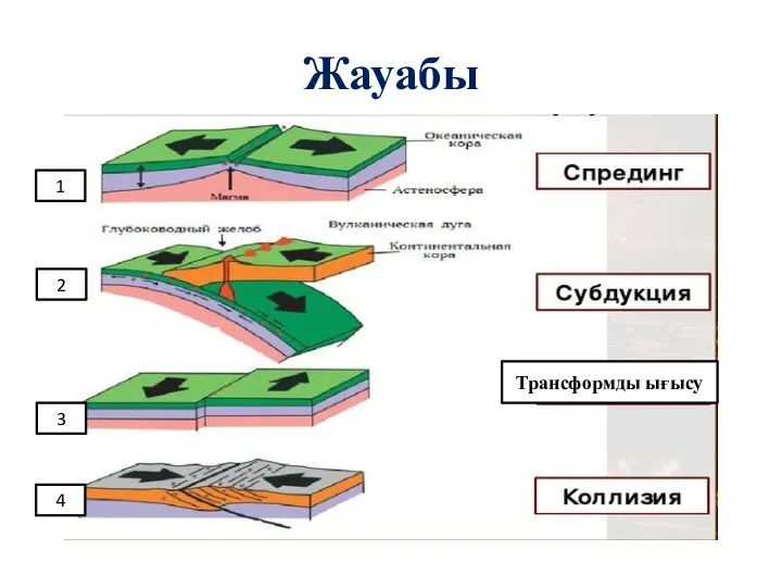 Жауабы Трансформды ығысу 1 2 3 4