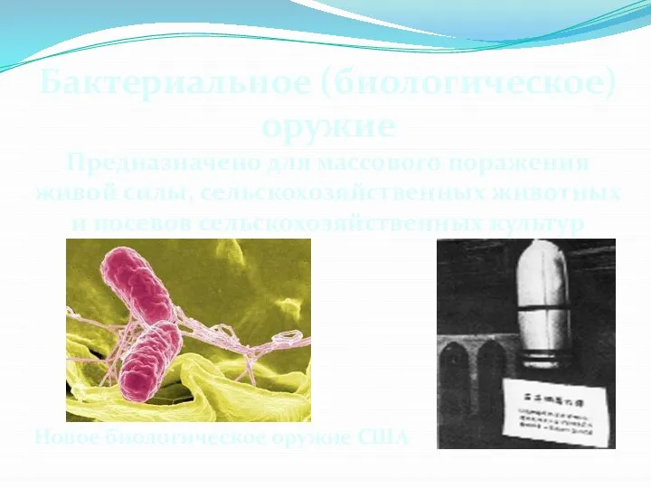 Бактериальное (биологическое) оружие Предназначено для массового поражения живой силы, сельскохозяйственных животных и