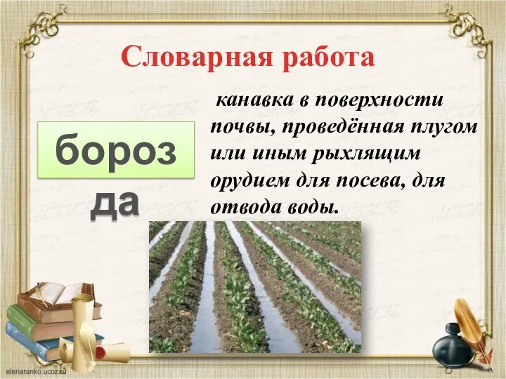 Словарная работа борозда канавка в поверхности почвы, проведённая плугом или иным рыхлящим