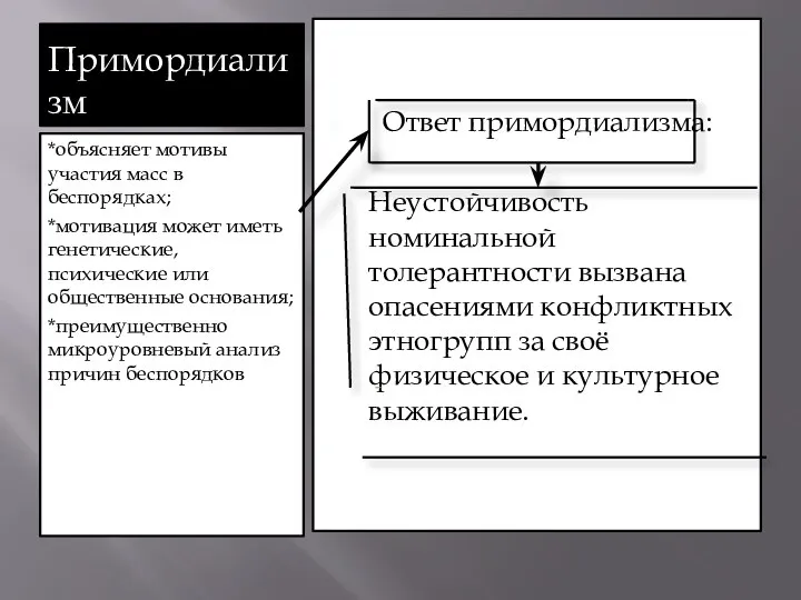 Примордиализм *объясняет мотивы участия масс в беспорядках; *мотивация может иметь генетические, психические