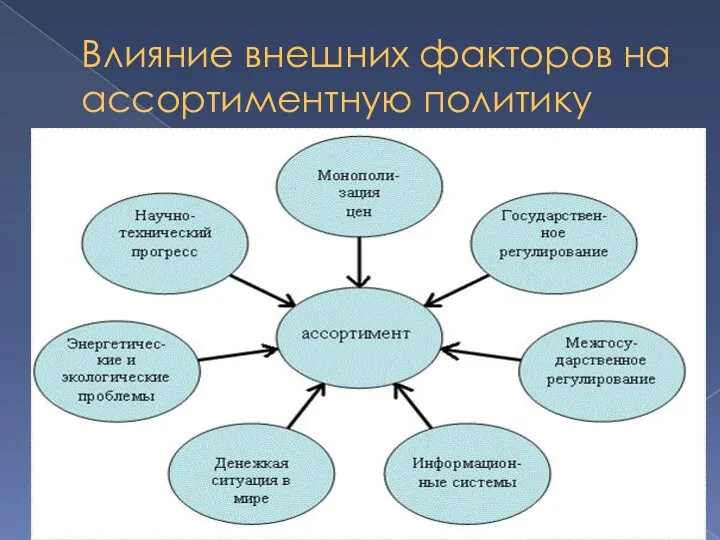 Влияние внешних факторов на ассортиментную политику