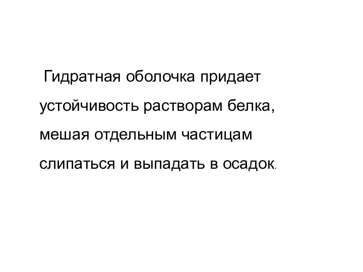 Гидратная оболочка придает устойчивость растворам белка, мешая отдельным частицам слипаться и выпадать в осадок.