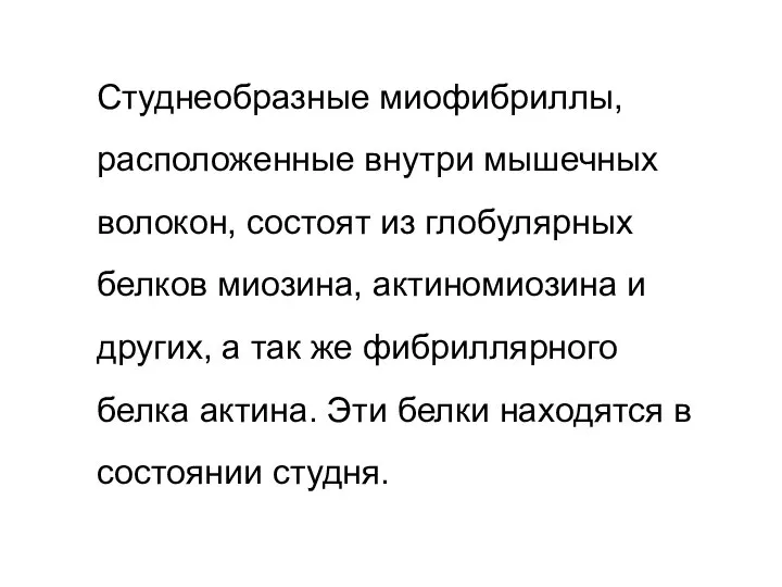 Студнеобразные миофибриллы, расположенные внутри мышечных волокон, состоят из глобулярных белков миозина, актиномиозина