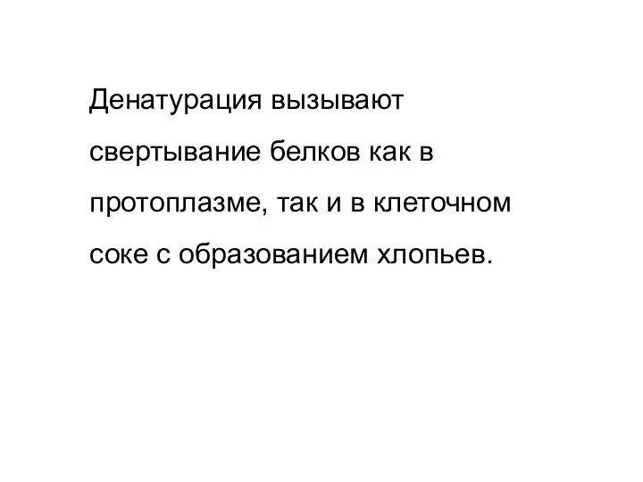 Денатурация вызывают свертывание белков как в протоплазме, так и в клеточном соке с образованием хлопьев.