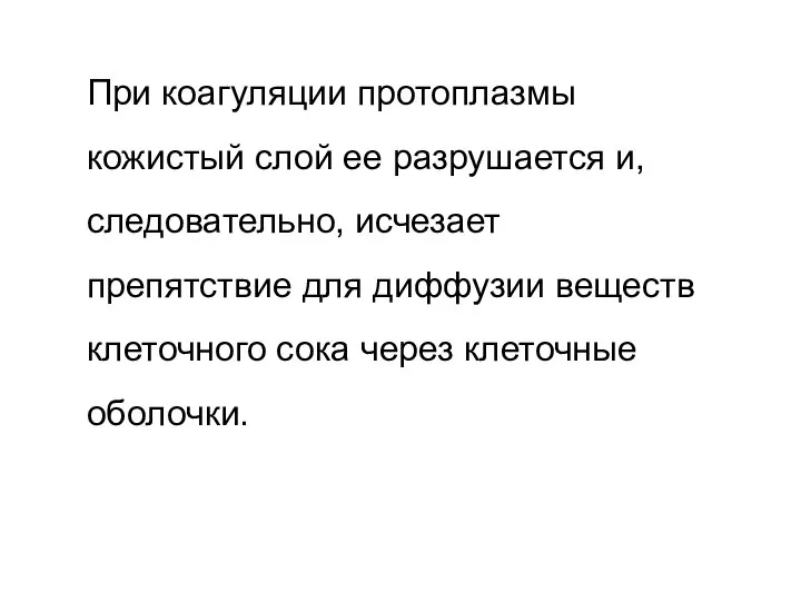 При коагуляции протоплазмы кожистый слой ее разрушается и, следовательно, исчезает препятствие для