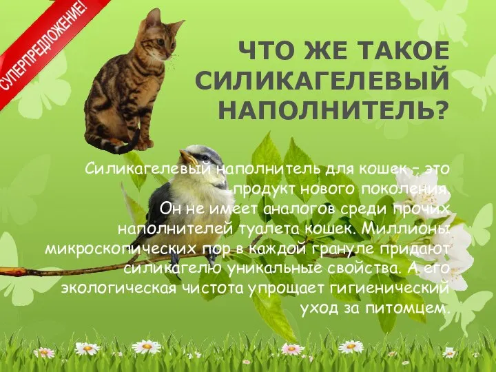 Силикагелевый наполнитель для кошек – это продукт нового поколения. Он не имеет