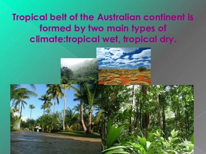 Tropical belt of the Australian continent is formed by two main types