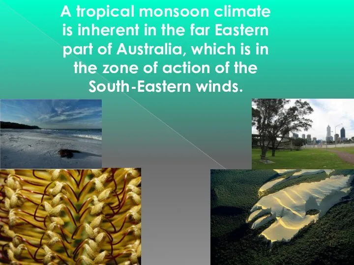A tropical monsoon climate is inherent in the far Eastern part of