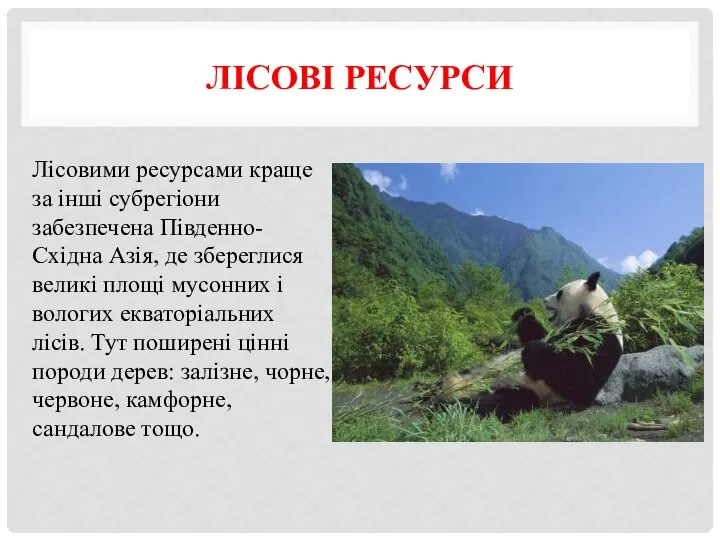 Лісовими ресурсами краще за інші субрегіони забезпечена Південно-Східна Азія, де збереглися великі