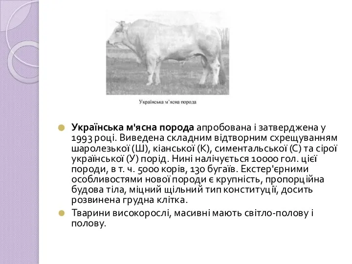 Українська м'ясна порода апробована і затверджена у 1993 році. Виведена складним відтворним