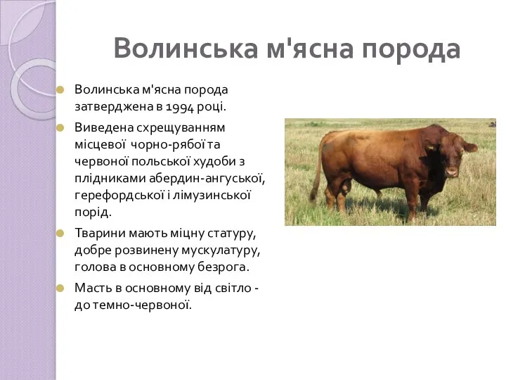 Волинська м'ясна порода Волинська м'ясна порода затверджена в 1994 році. Виведена схрещуванням