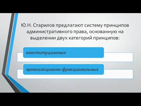 Ю.Н. Старилов предлагают систему принципов административного права, основанную на выделении двух категорий принципов: