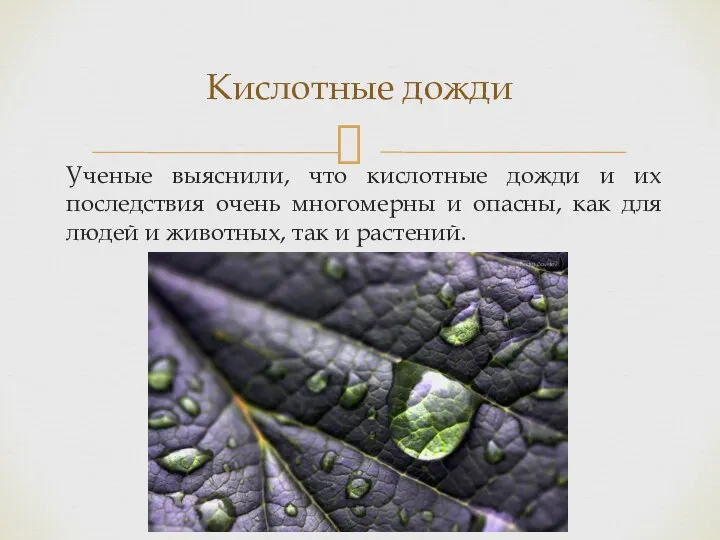 Ученые выяснили, что кислотные дожди и их последствия очень многомерны и опасны,