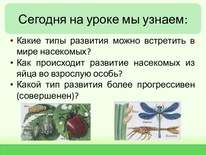 Сегодня на уроке мы узнаем: Какие типы развития можно встретить в мире