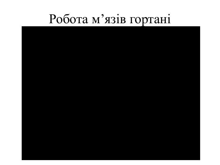 Робота м’язів гортані