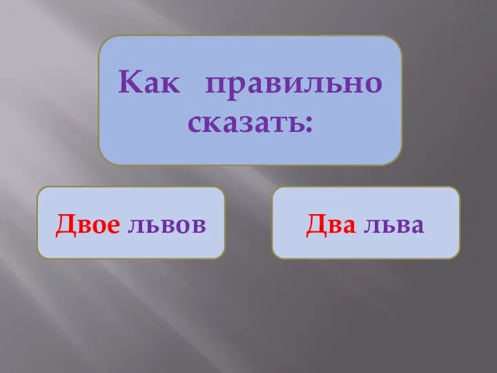 Как правильно сказать: Двое львов Два льва