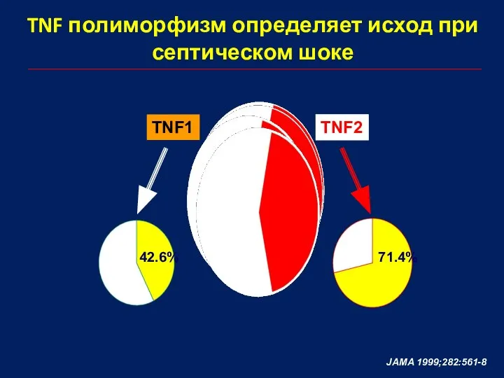TNF полиморфизм определяет исход при септическом шоке TNF1 TNF2 39.2% JAMA 1999;282:561-8